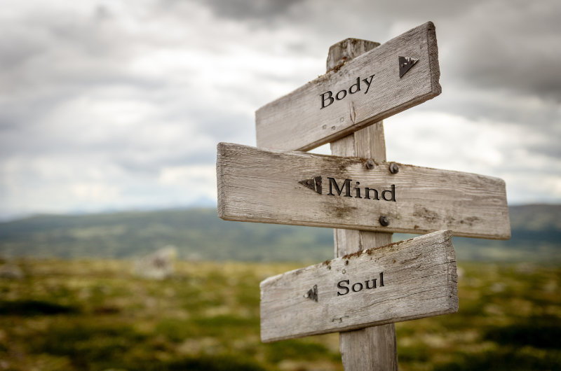 nourish the body, mind, and soul written on boards in the moutain